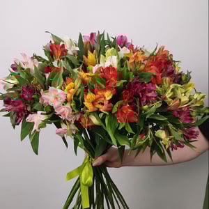 Монобукет из альстромерии