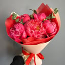 Букет «Роскошные пионы»