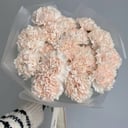 Букет «Гвоздика кремовая 25 штук»