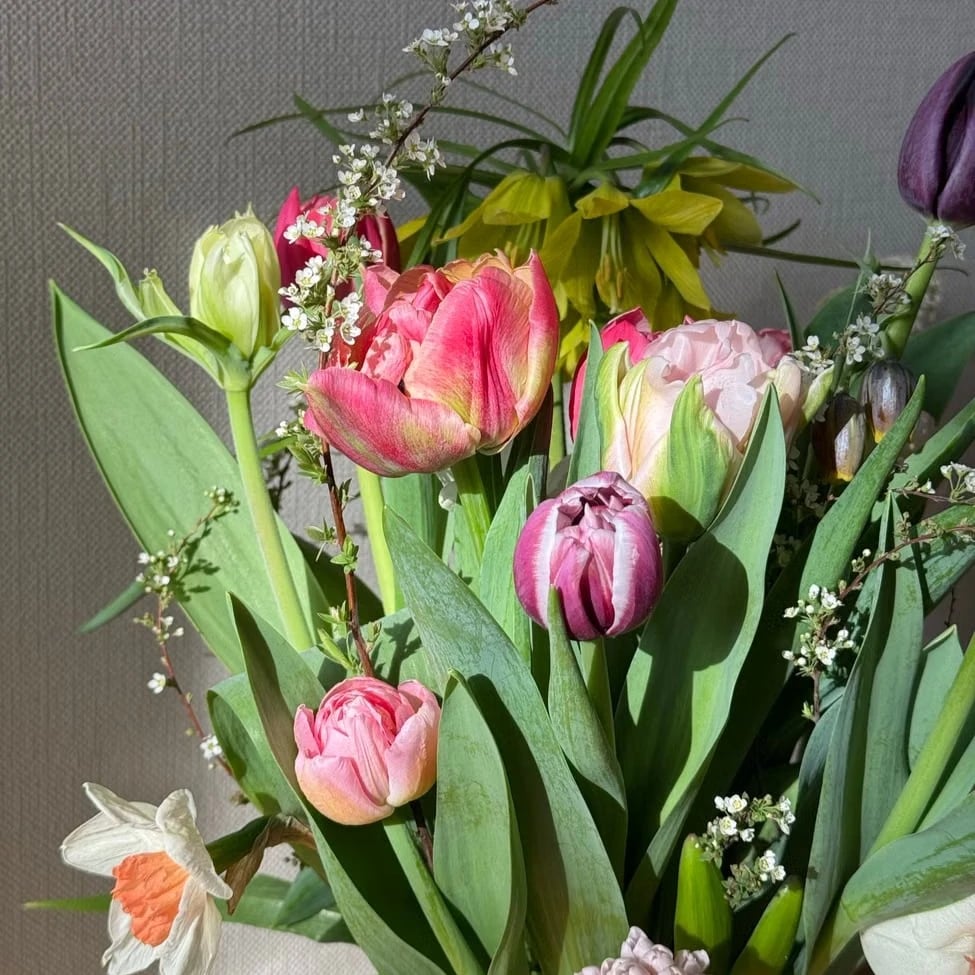 Blumen pflegen Augsburg