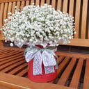 Шляпная коробка с цветами «Облако» из гипсофил