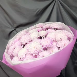 Красивый,пышный букет из 9 хризантем