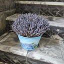 Кашпо с сухоцветом лаванды