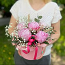 Нежные пионы Сара Бернар в коробке