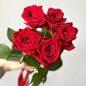 Букет «Роза красная Ред Наоми 5шт»