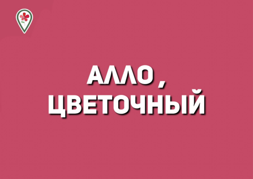 Алло, Цветочный
