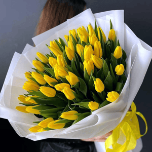 Букет из жёлтых тюльпанов 51 шт
