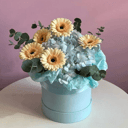 Букет «Коробка с герберами "Нюансы"»