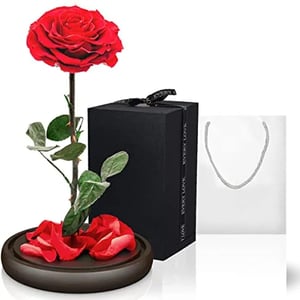 Композиция «Красные Forever Roses»