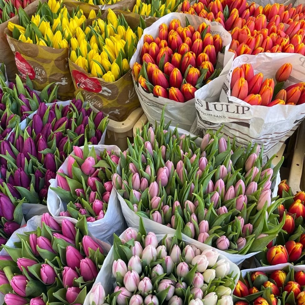 Flower delivery in the Netherlands