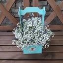 Композиция «Облачко» из гипсофил