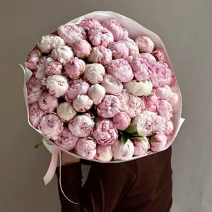 Пионы 51шт букет