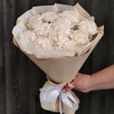 Букет диантусы 11шт шампань из гвоздик