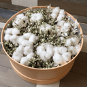 Персиковое облачко