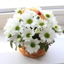 Букет «Композиция Хризантем»