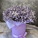 Композиция из Гипсофилы