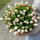 Корзина с цветами «Утро в саду» из тюльпанов