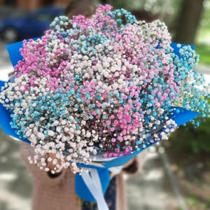 Букет из радужной гипсофилы в упаковке