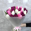 Букет из тюльпан микс 25. Хит