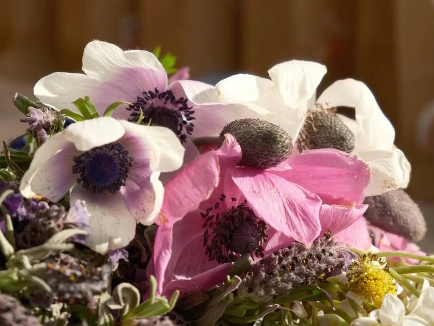 White anemone arrangement