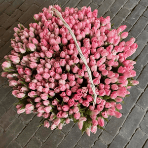 501 тюльпан в корзине