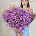 Букет из фиолетовой гипсофилы 15 штук