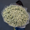 Букет Полевой из хризантем