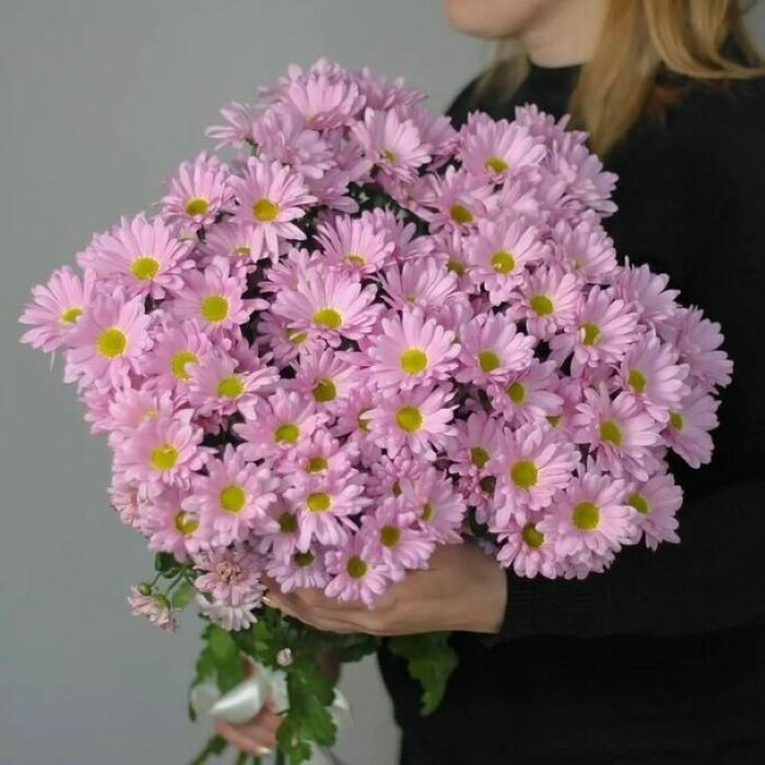 Букет из 9 хризантемы кустовой ромашка