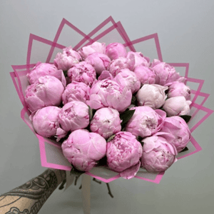 Букет «Ароматные пионы Сара 25 шт»