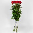 Букет из 11 красных роз, Премиум (100см)