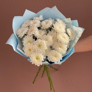 Букет пушистых кустовых хризантем