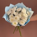 Букет пушистых кустовых хризантем