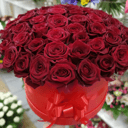 Композиция «Букет из 51 красная роза в коробке»
