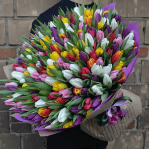 Букет цветов 101 тюльпан