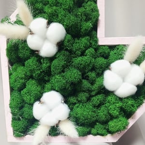 Стабилизированный мох с хлопком 02