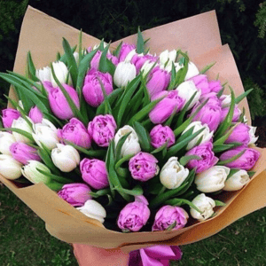 Букет из 55 тюльпанов