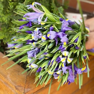 Букет «Яркий акцент» из ирисов