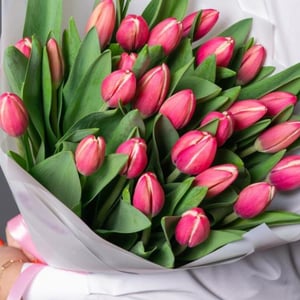 Букет «Тюльпаны»