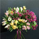 Букет «Альстромерия»