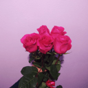 Букет «5 Розовых роз Эквадор»