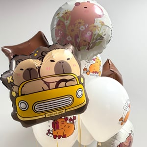 Капибара 9 шаров