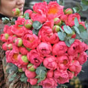 Букет «Благополучие» из пионов