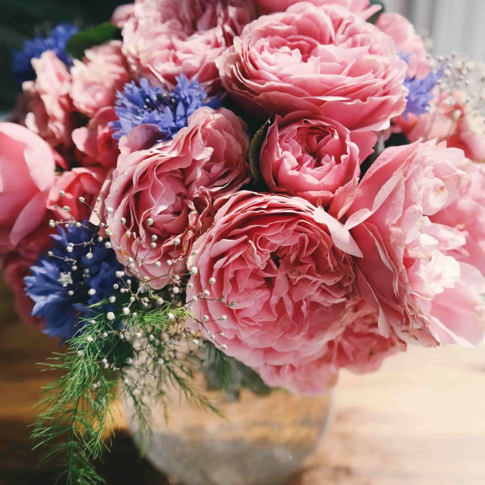 Flower delivery in Canberra