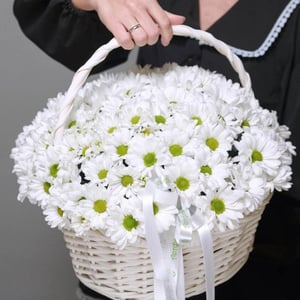25 кустовых хризантем в корзинке