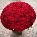 Букет «Миллион алых роз»