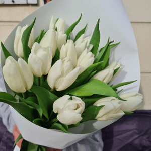 Букет из белых тюльпанов