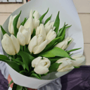 Букет из белых тюльпанов