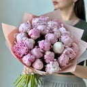 Букет «Пионы Сара Бернар 25 шт»