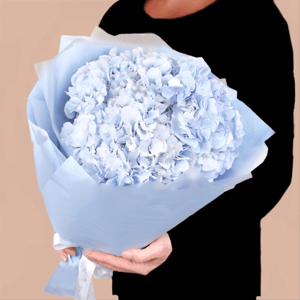 Букет из голубых гортензий в упаковке