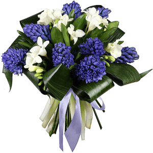 Букет «Синий бархат» из экзотических цветов и фрезии